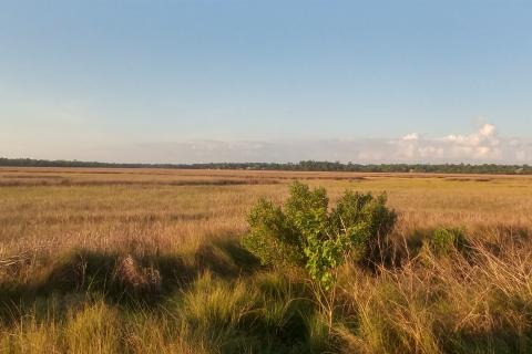 Graveline Bay preserve wetlands in Mississippi.